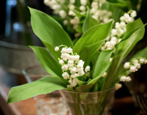 floral delivery lily of the valley